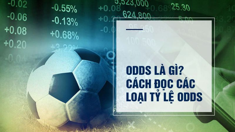 Cách soi kèo Odds hiệu quả 